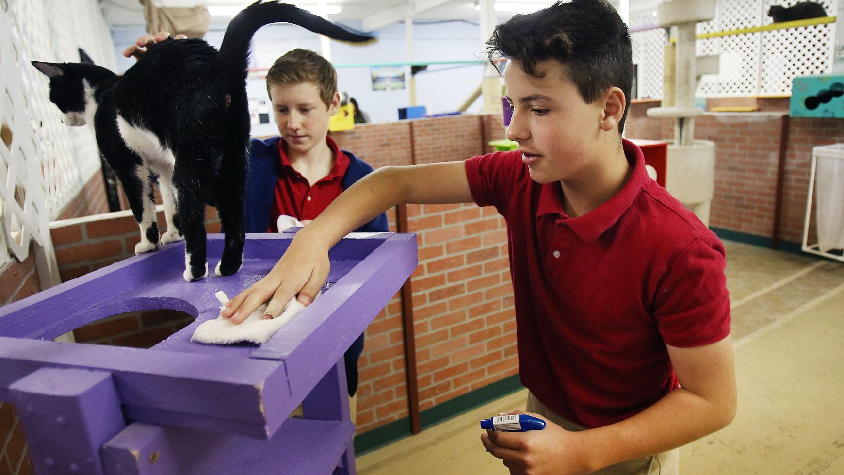 St. Michael's students ditched school Friday to help the community